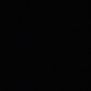 Meet your Posher, Jake